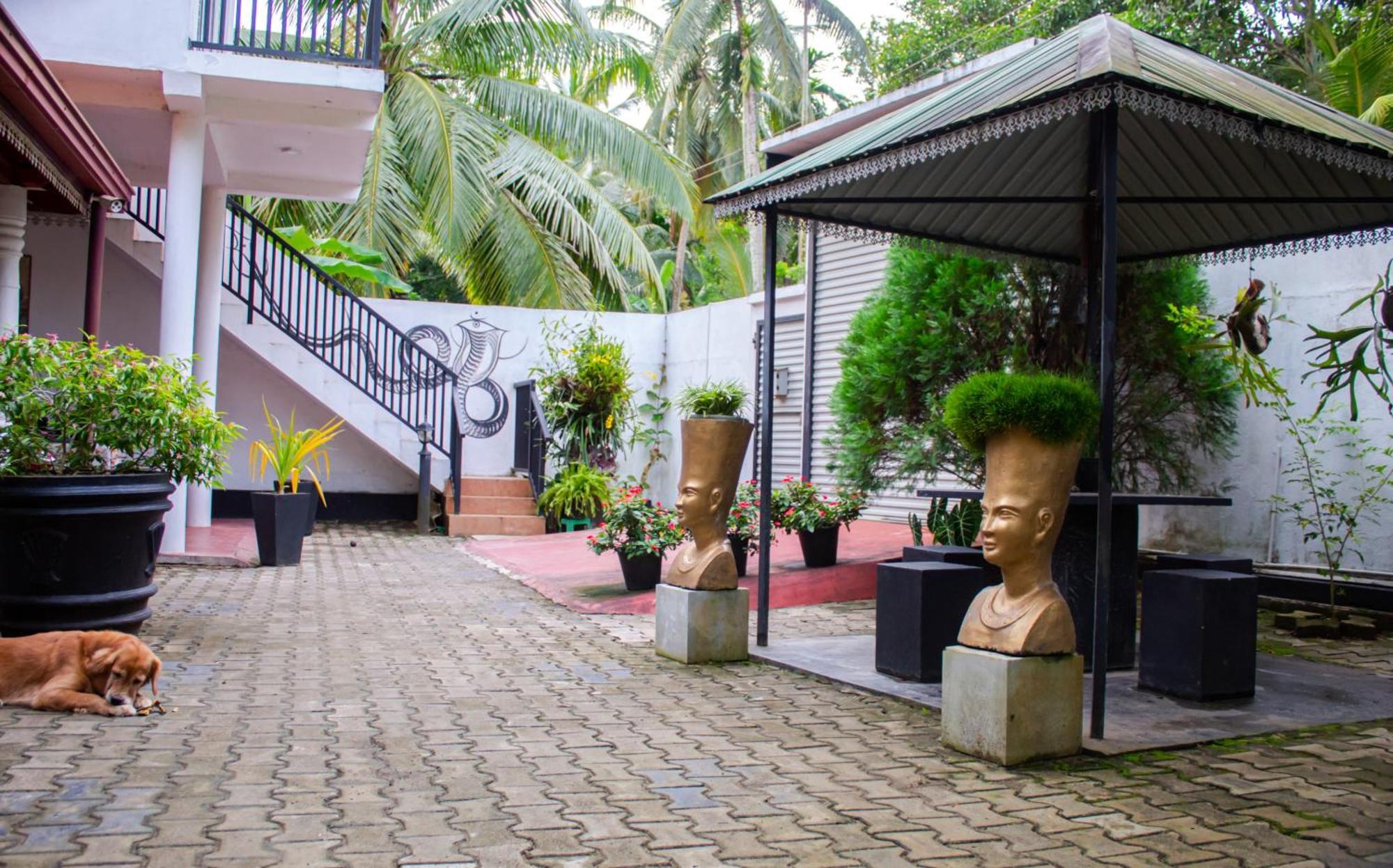 Dream Forest Rest Ahangama Ngoại thất bức ảnh